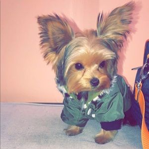 Meet your Posher, Chantelle